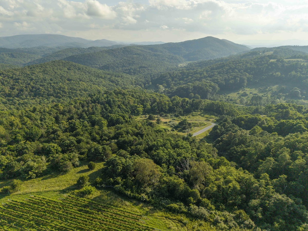 Land for sale in central virginia