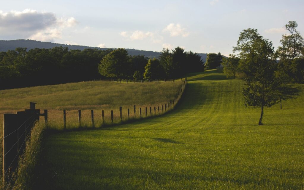 Farmland for sale in Nelson County
